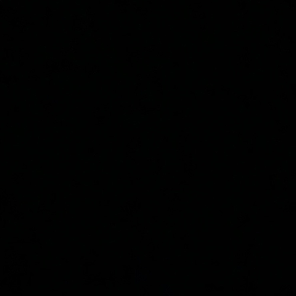 Meet your Posher, Raffaela